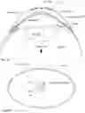 Fig. 03 - Non-circular contact lenses with payloads