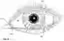 Fig. 04 - Non-circular contact lenses with payloads