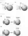Fig. 02 - Functional contact lens and manufacturing method therefor