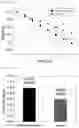 Fig. 06 - Functional contact lens and manufacturing method therefor
