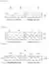 Fig. 09 - Liquid crystal display device and electronic apparatus