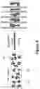 Fig. 07 - Anisotropic conductive dielectric layer for electrophoretic display