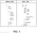 Fig. 02 - Method and apparatus for supporting speculative memory optimizations
