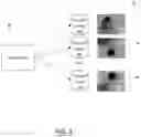 Fig. 04 - Adaptive compression of simulation data for visualization