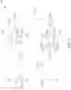 Fig. 06 - Driving module for display device