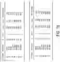 Fig. 22 - Wireless local area networks using orthogonal time frequency space modulation