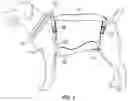 Fig. 04 - Pet harness and/or collar with deployable cape