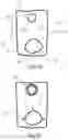 Fig. 08 - Disposable drape for grooming