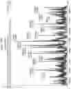 Fig. 197 - Antibody adjuvant conjugates