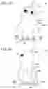 Fig. 02 - Robot that acts comically, and structure thereof