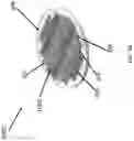 Fig. 06 - METHODS OF MAKING MONOLITHIC STRUCTURES AND DEVICES AND MONOLITHIC STRUCTURES AND DEVICES MADE THEREFROM
