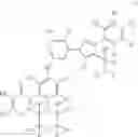 Fig. 40 - Aminopyrimidine compound and composition comprising same and use thereof