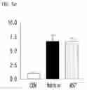 Fig. 14 - Pyrrolo-pyridine derivative compound, method for preparing same, and pharmaceutical composition containing same as active ingredient for prevention or treatment of protein kinase-related diseases