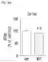 Fig. 16 - Pyrrolo-pyridine derivative compound, method for preparing same, and pharmaceutical composition containing same as active ingredient for prevention or treatment of protein kinase-related diseases