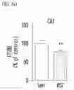 Fig. 18 - Pyrrolo-pyridine derivative compound, method for preparing same, and pharmaceutical composition containing same as active ingredient for prevention or treatment of protein kinase-related diseases