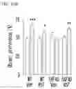 Fig. 32 - Pyrrolo-pyridine derivative compound, method for preparing same, and pharmaceutical composition containing same as active ingredient for prevention or treatment of protein kinase-related diseases