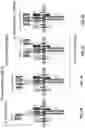 Fig. 03 - COMPOSITIONS AND METHODS FOR TCR REPROGRAMMING USING FUSION PROTEINS