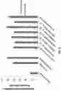 Fig. 06 - COMPOSITIONS AND METHODS FOR TCR REPROGRAMMING USING FUSION PROTEINS