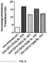 Fig. 07 - COMPOSITIONS AND METHODS FOR TCR REPROGRAMMING USING FUSION PROTEINS