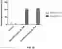 Fig. 21 - COMPOSITIONS AND METHODS FOR TCR REPROGRAMMING USING FUSION PROTEINS