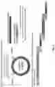 Fig. 06 - Nuclease-mediated DNA assembly