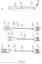 Fig. 08 - Device, Fluid Testing Kit and Uses Thereof   .....P34321USN1/SNB