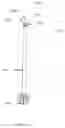 Fig. 20 - Device, Fluid Testing Kit and Uses Thereof   .....P34321USN1/SNB