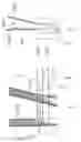 Fig. 23 - Device, Fluid Testing Kit and Uses Thereof   .....P34321USN1/SNB