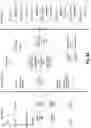 Fig. 03 - Method of detecting compatible systems for systems with anomalies
