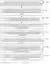 Fig. 22 - Memory evaluation method and apparatus