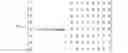 Fig. 03 - Minimal aliasing bit-error correction code