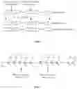 Fig. 06 - Flash memory and operation method thereof