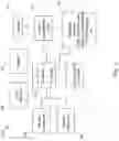 Fig. 02 - Diagnostic scan