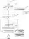 Fig. 01 - Method including collecting and querying source code to reverse engineer software