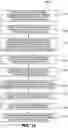 Fig. 13 - Remote access of metadata for collaborative documents