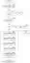 Fig. 01 - Cataloging database metadata using a probabilistic signature matching process