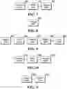 Fig. 08 - Blockchain transaction processing method and apparatus