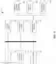 Fig. 03 - Systems and methods for graphical exploration of forensic data