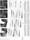 Fig. 06 - Method of storing remote sensing big data in Hbase database