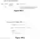 Fig. 36 - Interactive visual analysis of datasets using a specialized virtual machine