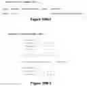 Fig. 41 - Interactive visual analysis of datasets using a specialized virtual machine