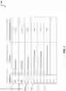 Fig. 03 - Identifying false positives between matched words
