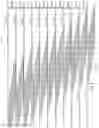 Fig. 05 - Indexing fingerprints