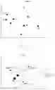 Fig. 07 - User verification method and apparatus using generalized user model