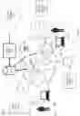 Fig. 19 - SYSTEM FOR IDENTITY VERIFICATION