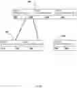 Fig. 05 - CryptoJSON Indexed Search Systems and Methods