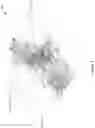 Fig. 03 - Designing objects using lattice structure optimization