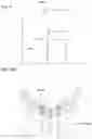 Fig. 09 - COMPACT INTERVAL SWEEPING IMAGING SYSTEM AND METHOD
