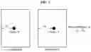 Fig. 08 - Method and apparatus with liveness detection and object recognition