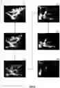 Fig. 04 - Optical puf and optical reading of a security element